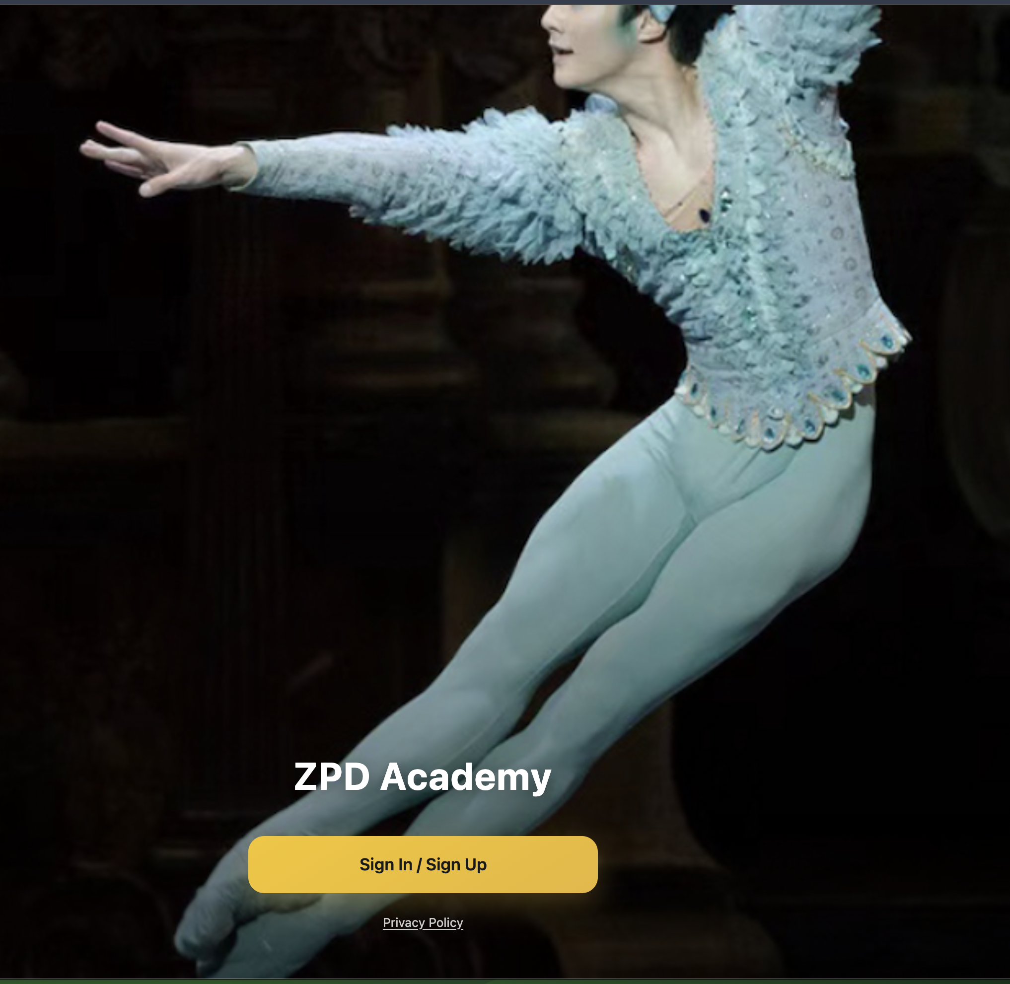 Dancing Studio CRM